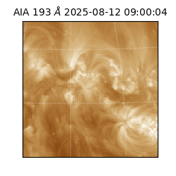 saia - 2025-08-12T09:00:04.843000