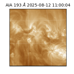 saia - 2025-08-12T11:00:04.846000