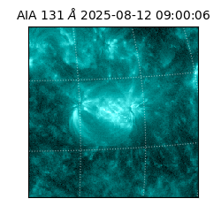 saia - 2025-08-12T09:00:06.622000