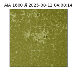 saia - 2025-08-12T04:00:14.126000