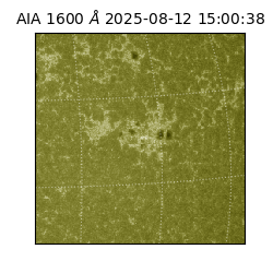 saia - 2025-08-12T15:00:38.129000