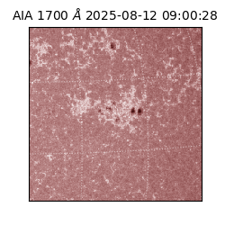 saia - 2025-08-12T09:00:28.718000