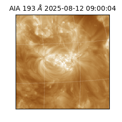 saia - 2025-08-12T09:00:04.843000