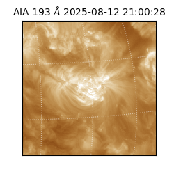 saia - 2025-08-12T21:00:28.844000