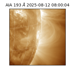 saia - 2025-08-12T08:00:04.843000