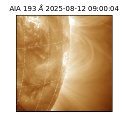 saia - 2025-08-12T09:00:04.843000