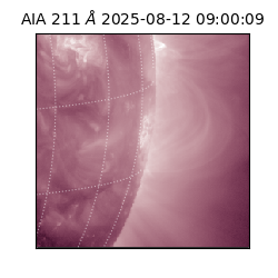 saia - 2025-08-12T09:00:09.626000