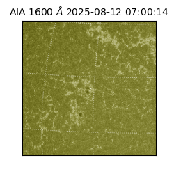 saia - 2025-08-12T07:00:14.125000