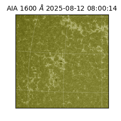 saia - 2025-08-12T08:00:14.125000