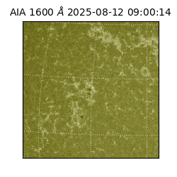 saia - 2025-08-12T09:00:14.126000