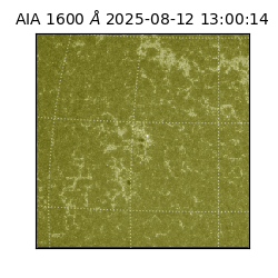 saia - 2025-08-12T13:00:14.125000