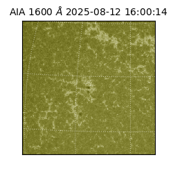 saia - 2025-08-12T16:00:14.126000