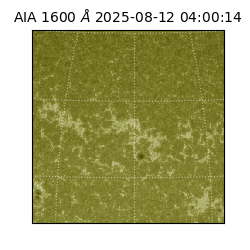 saia - 2025-08-12T04:00:14.126000