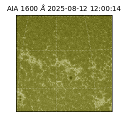 saia - 2025-08-12T12:00:14.126000