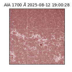 saia - 2025-08-12T19:00:28.719000