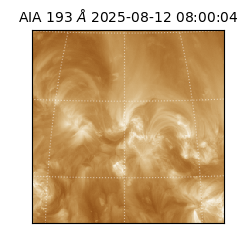 saia - 2025-08-12T08:00:04.843000