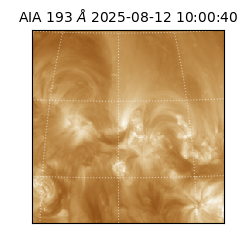 saia - 2025-08-12T10:00:40.843000