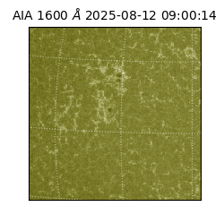 saia - 2025-08-12T09:00:14.126000