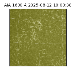 saia - 2025-08-12T10:00:38.124000