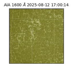 saia - 2025-08-12T17:00:14.126000