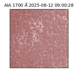 saia - 2025-08-12T09:00:28.718000