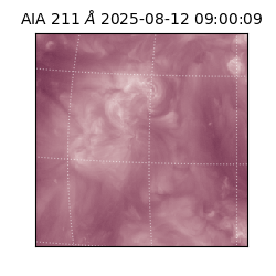 saia - 2025-08-12T09:00:09.626000