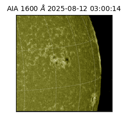 saia - 2025-08-12T03:00:14.126000