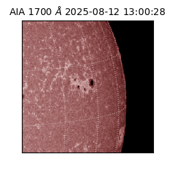 saia - 2025-08-12T13:00:28.718000