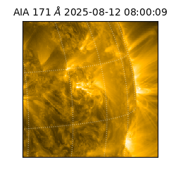 saia - 2025-08-12T08:00:09.350000