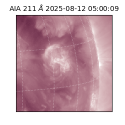 saia - 2025-08-12T05:00:09.625000