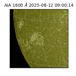 saia - 2025-08-12T09:00:14.126000