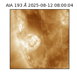 saia - 2025-08-12T08:00:04.843000