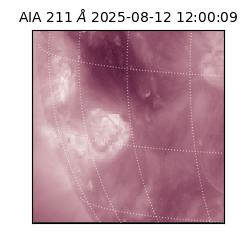 saia - 2025-08-12T12:00:09.626000