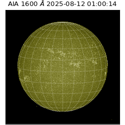 saia - 2025-08-12T01:00:14.117000