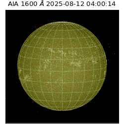 saia - 2025-08-12T04:00:14.126000