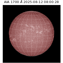 saia - 2025-08-12T08:00:28.721000