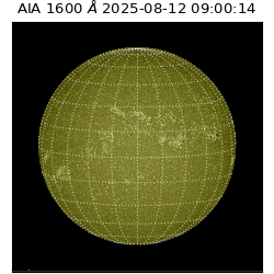 saia - 2025-08-12T09:00:14.126000