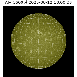 saia - 2025-08-12T10:00:38.124000