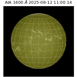 saia - 2025-08-12T11:00:14.126000