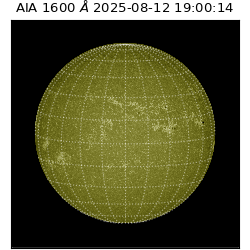 saia - 2025-08-12T19:00:14.126000