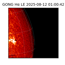 gong - 2025-08-12T01:00:42