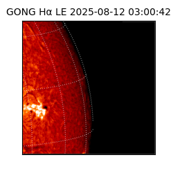 gong - 2025-08-12T03:00:42