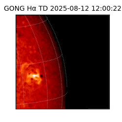 gong - 2025-08-12T12:00:22