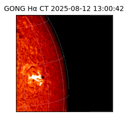 gong - 2025-08-12T13:00:42