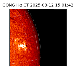 gong - 2025-08-12T15:01:42