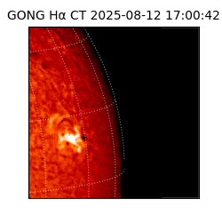 gong - 2025-08-12T17:00:42