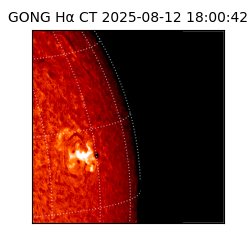 gong - 2025-08-12T18:00:42