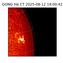 gong - 2025-08-12T19:00:42