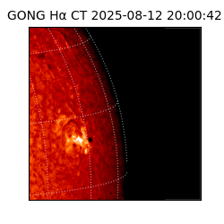 gong - 2025-08-12T20:00:42