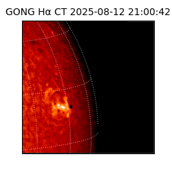 gong - 2025-08-12T21:00:42